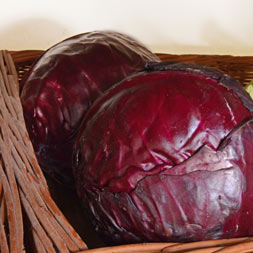 Rotkohl